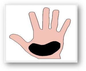 Talón de mano hábil