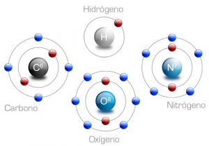 nivel de organización químico