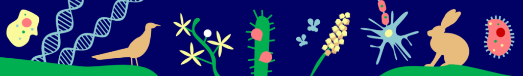 Banner biologia